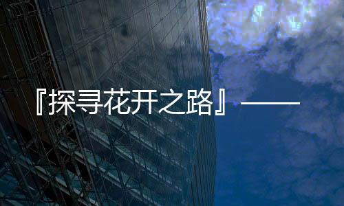 『探寻花开之路』—— 2025年早春赏花地图