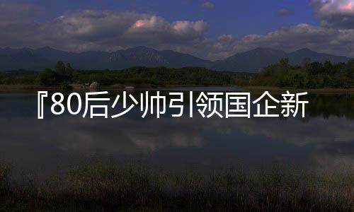 『80后少帅引领国企新时代——重任执掌价值千亿集团的探索之旅』