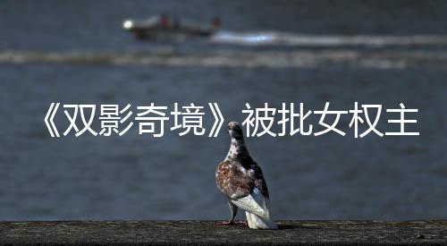 《双影奇境》被批女权主义 游戏总监：这到底什么鬼？