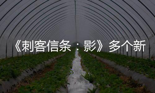《刺客信条：影》多个新实机 雨季跑酷、潜行、风力系统