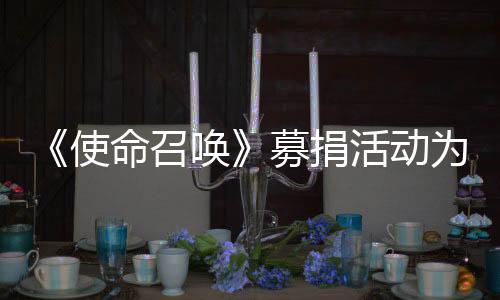 《使命召唤》募捐活动为加州山火救援重建募集160万美元