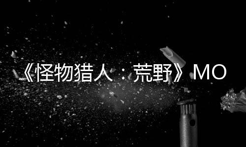 《怪物猎人：荒野》MOD 禁用镜头失真画面更清晰