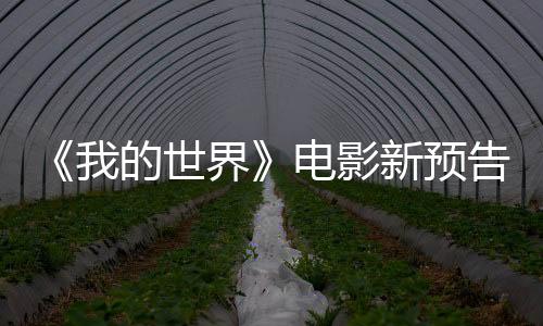 《我的世界》电影新预告片发布 方形大熊猫还原度拉满