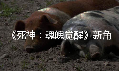 《死神：魂魄觉醒》新角色预告：志波海燕