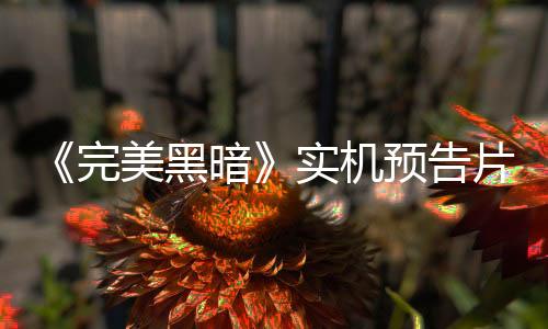 《完美黑暗》实机预告片公布 正式发售或尚需时日