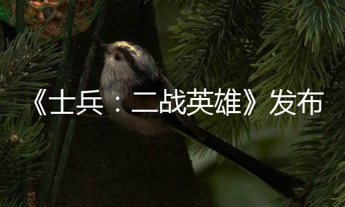 《士兵：二战英雄》发布最新更新 发售已经20年