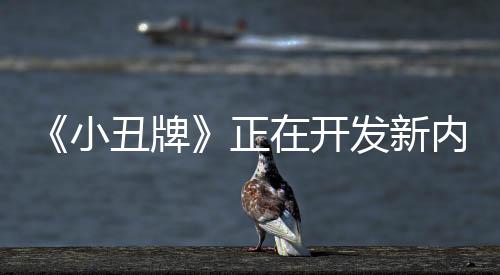 《小丑牌》正在开发新内容更新 细节目前保密