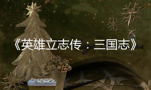 《英雄立志传：三国志》三国游戏玩成武侠 不靠兵马平定天下