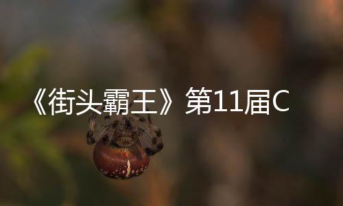 《街头霸王》第11届Capcom杯：日本选手夺冠获100万美元15岁神童获亚