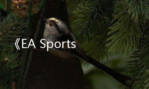 《EA Sports FC 25》大型更新档发布 调整多个机制