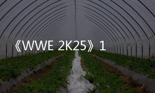 《WWE 2K25》1.03版本补丁已经发布 修复多处问题