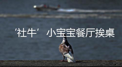 ‘社牛’小宝宝餐厅挨桌打招呼，展现非凡社交天赋