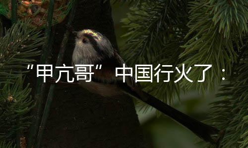 “甲亢哥”中国行火了：跨文化对话其实可以很简单
