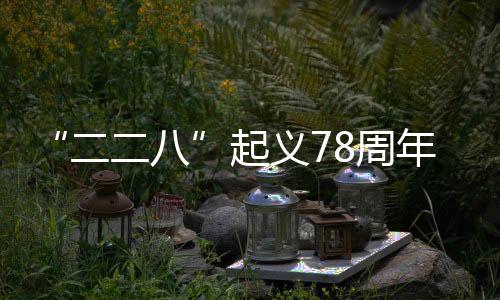 “二二八”起义78周年：勿让“台独史观”歪曲台湾爱国主义传统