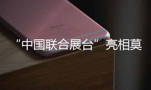 “中国联合展台”亮相莫斯科世界内容市场交易展