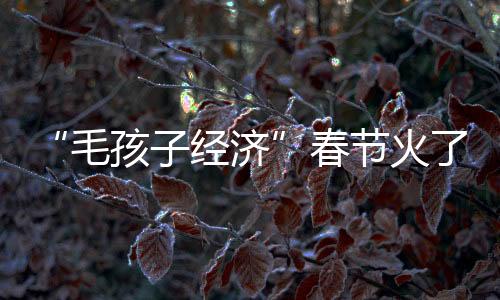 “毛孩子经济”春节火了 你家萌宠这个节怎么过？
