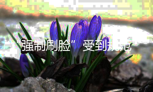 “强制刷脸”受到规范 人脸信息安全保护有了新办法
