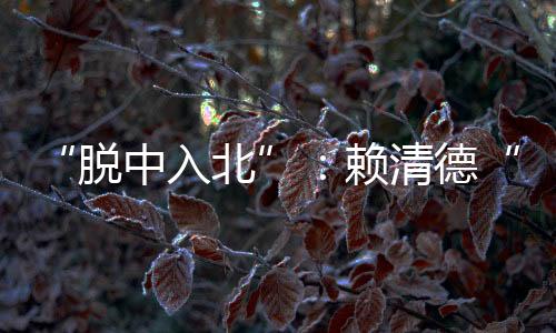 “脱中入北”：赖清德“倚美抗中”的投名状和遮羞布