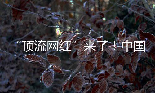 “顶流网红”来了！中国大熊猫萌翻美国华盛顿