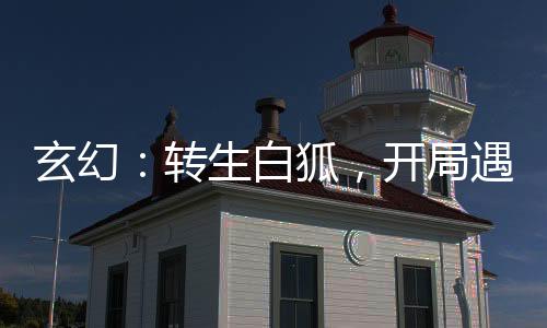 玄幻：转生白狐，开局遇仙人指路