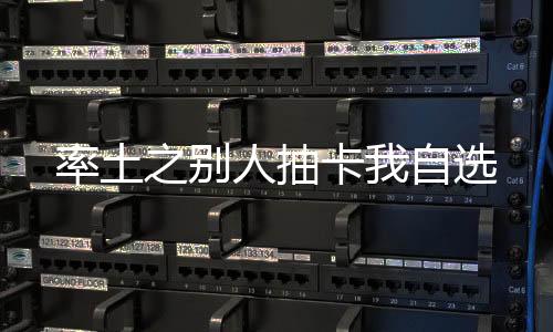 率土之别人抽卡我自选
