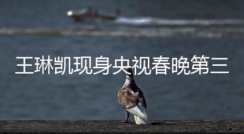 王琳凯现身央视春晚第三次联排，备受瞩目的音乐才子惊艳全场