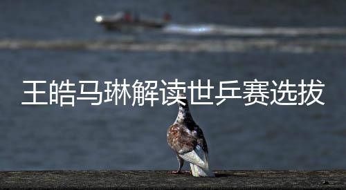 王皓马琳解读世乒赛选拔标准，以实力为核心，打造乒坛精英团队