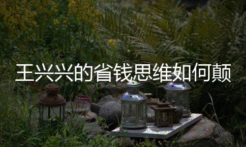 王兴兴的省钱思维如何颠覆人生