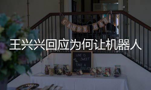 王兴兴回应为何让机器人跳舞而非干活，探索未来科技与艺术的融合之道