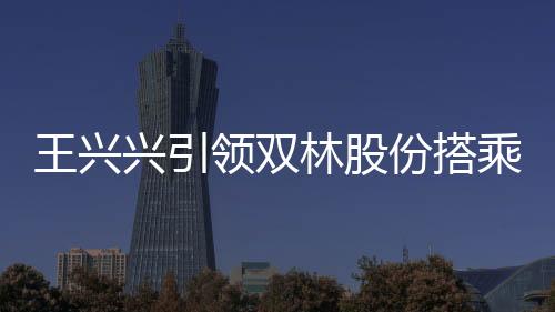 王兴兴引领双林股份搭乘行业热度列车——丝杠行业的潜力和机遇