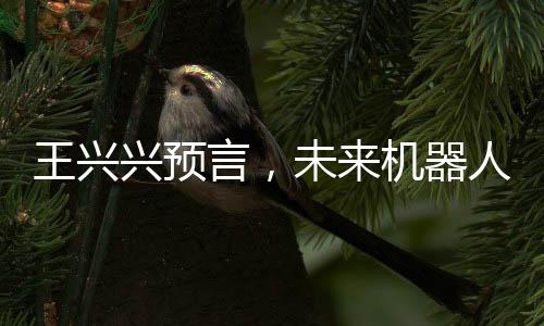 王兴兴预言，未来机器人将缩小至细胞大小，科技革新引领新时代