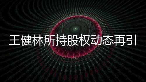 王健林所持股权动态再引关注，7702万股权遭冻结事件深度解析
