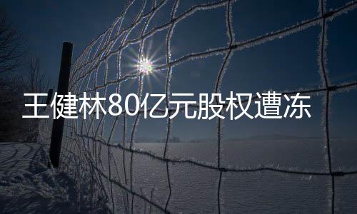 王健林80亿元股权遭冻结事件揭秘