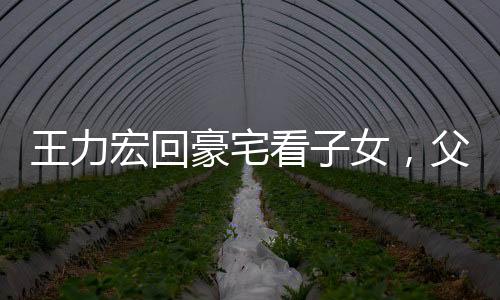 王力宏回豪宅看子女，父爱如山，温馨团聚时刻