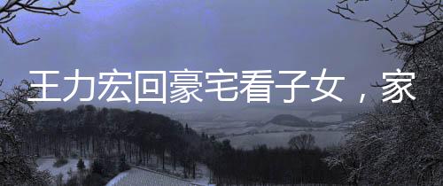 王力宏回豪宅看子女，家庭时光温暖如初