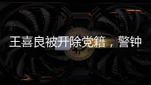 王喜良被开除党籍，警钟长鸣，警醒党员干部廉洁自律