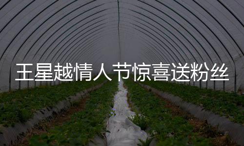 王星越情人节惊喜送粉丝玫瑰花，爱心传递感动无数粉丝