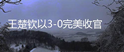 王楚钦以3-0完美收官，光速下班展现卓越实力