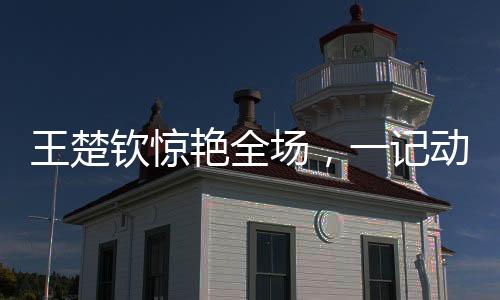 王楚钦惊艳全场，一记动作引发沉默风暴