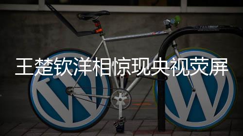 王楚钦洋相惊现央视荧屏