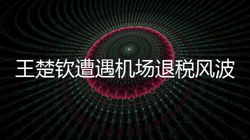 王楚钦遭遇机场退税风波，引发社会热议
