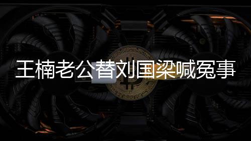 王楠老公替刘国梁喊冤事件分析