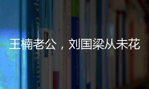 王楠老公，刘国梁从未花费国家一分钱——探寻中国体育界的真实故事