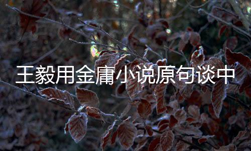 王毅用金庸小说原句谈中美关系，风云际会下的两国关系洞察