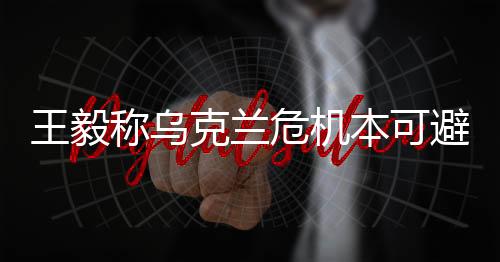 王毅称乌克兰危机本可避免，深度解析危机的起源与应对之道