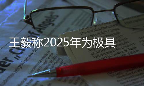 王毅称2025年为极具历史分量的年份，关键里程碑下的全球合作与愿景展望