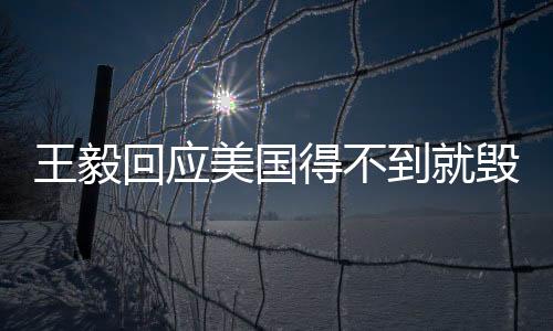 王毅回应美国得不到就毁行为，展现大国担当与战略定力