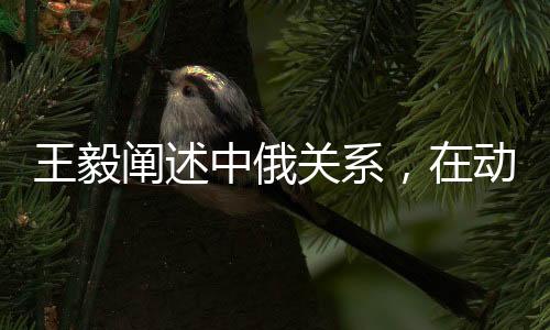 王毅阐述中俄关系，在动荡世界中成为恒量