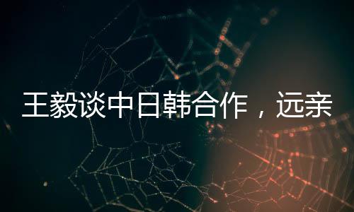 王毅谈中日韩合作，远亲不如近邻