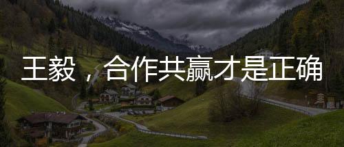 王毅，合作共赢才是正确选择